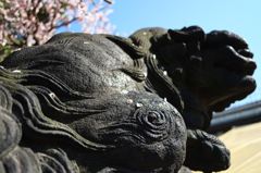 うたた寝してて目が覚めて