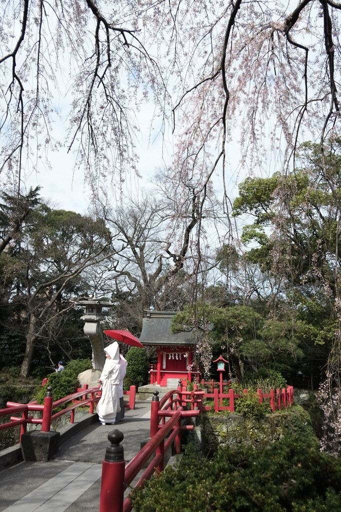 ふと足止めて