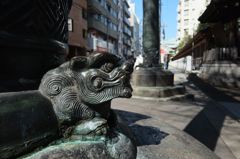 鳥居の下の力持ち