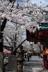 門前