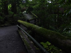 癒し道