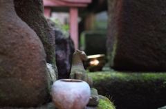 小さくても番人