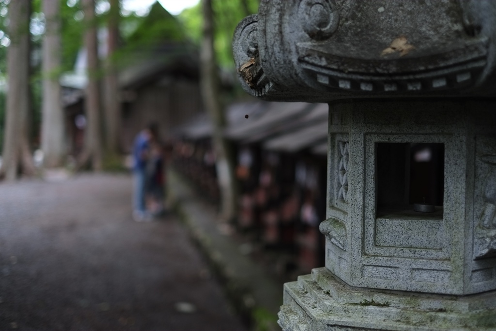 三峰の日常