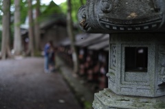 三峰の日常