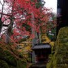 赤く萌え
