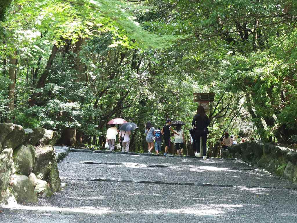 木漏れ日を傘に受け