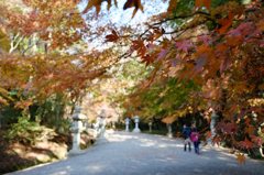 香取の秋