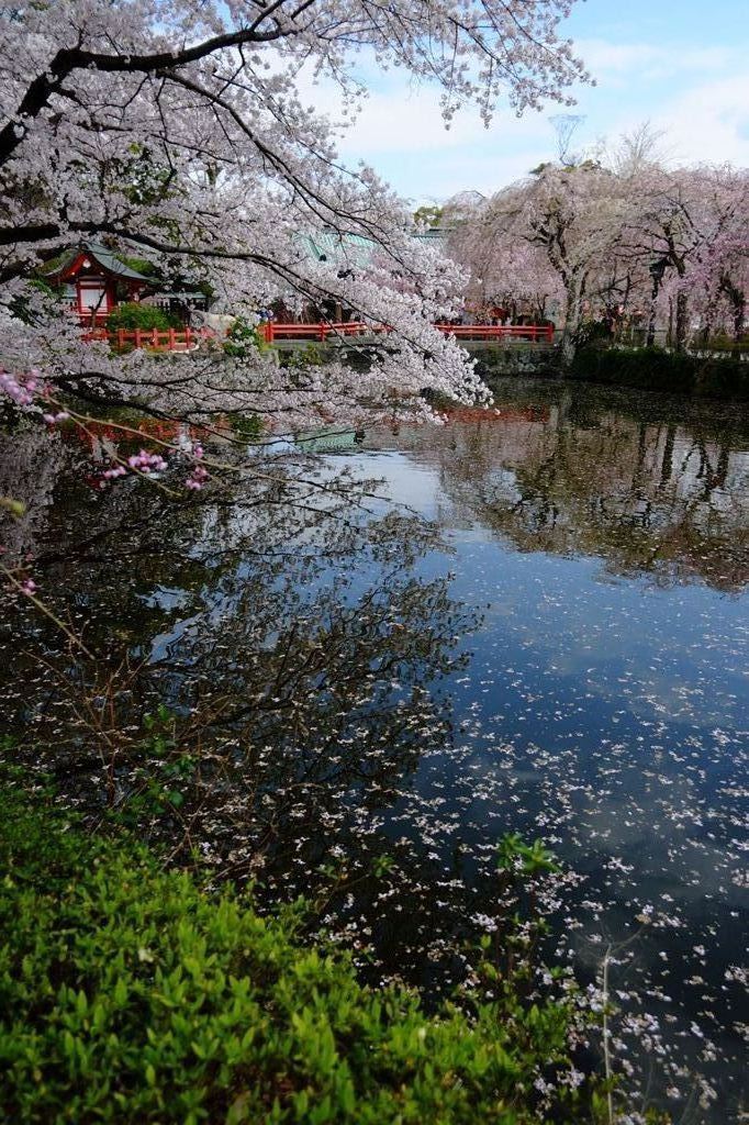水面深く