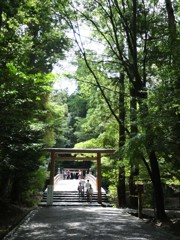 橋