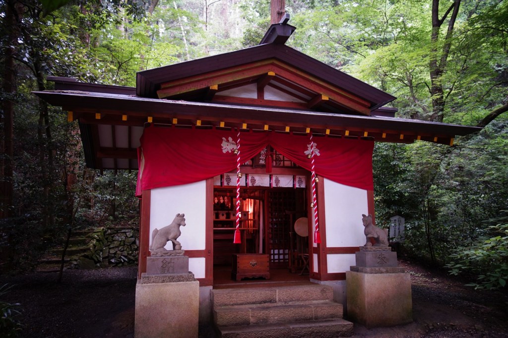 緑の奥に
