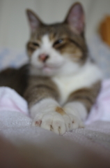 のばした手