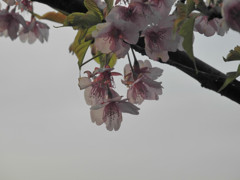 曇り空