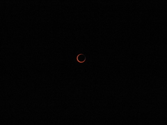 DSCN1037