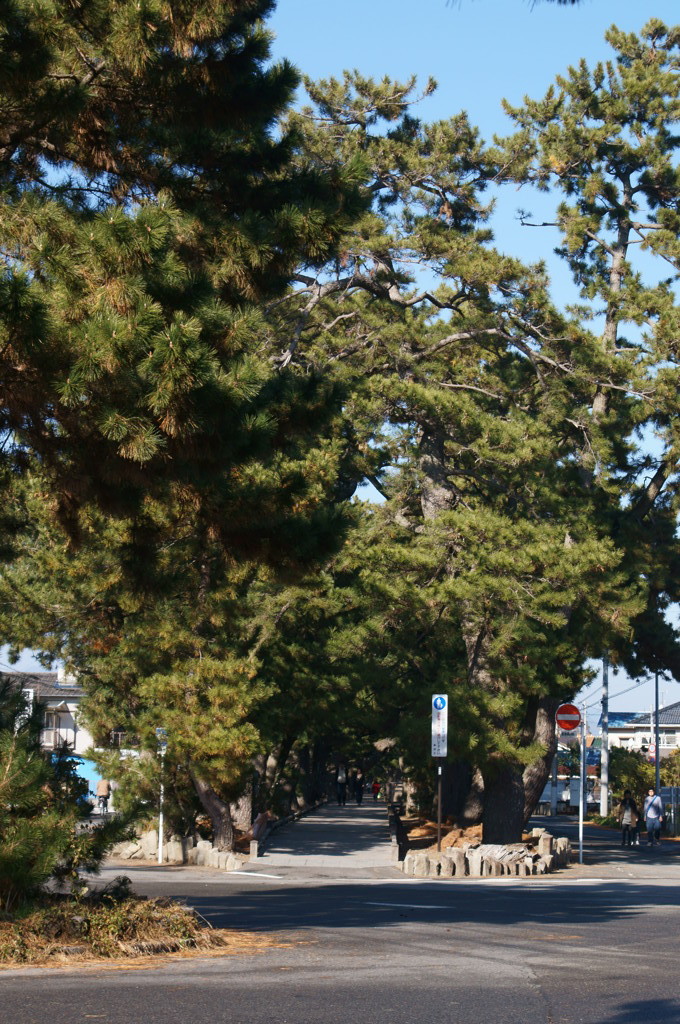 DSC00450