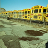 SCHOOL BUS