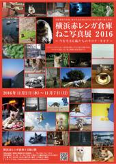 横浜赤レンガ倉庫ねこ写真展２０１６