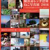 横浜赤レンガ倉庫ねこ写真展２０１６