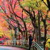 紅葉狩り