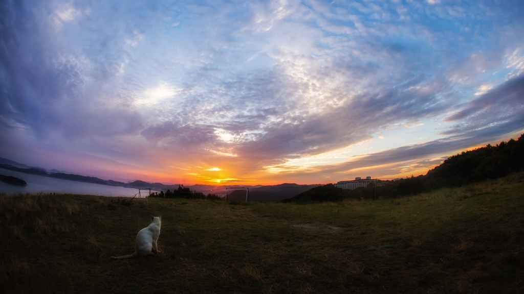 夕暮れに