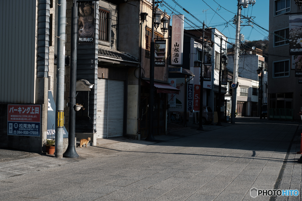 坂道と寺の街にて