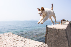 Jumpin'!!