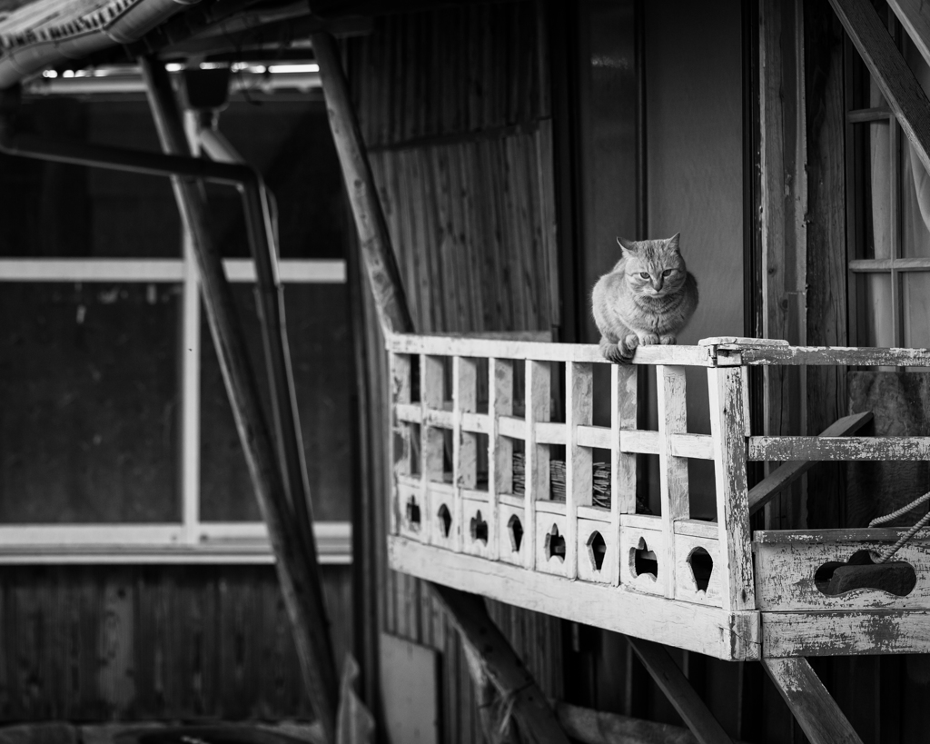 路地にて