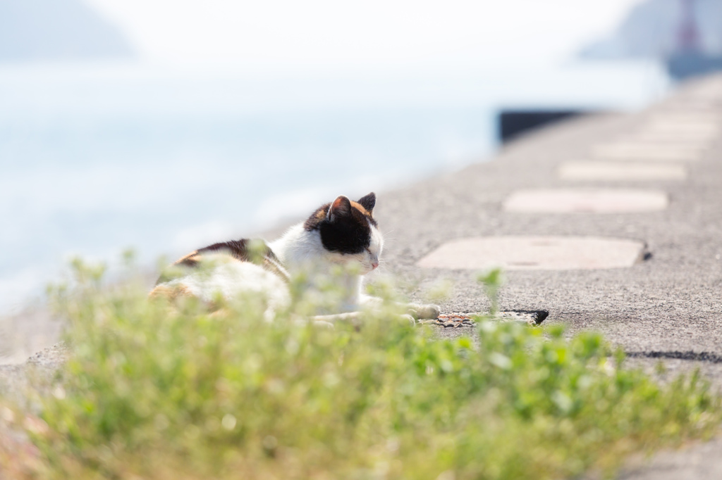うつらうつら