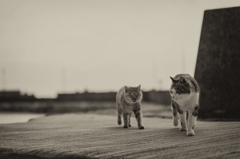 friend