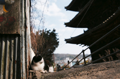 尾道
