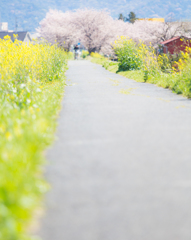 土手道