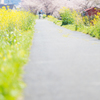 土手道