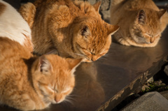 うと×３