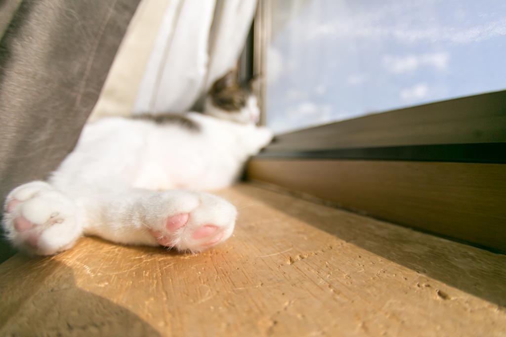 ある冬の晴れた日