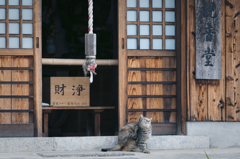尾道