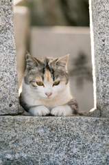 神社にて