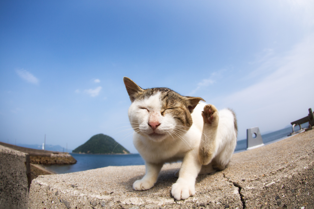 やぁ