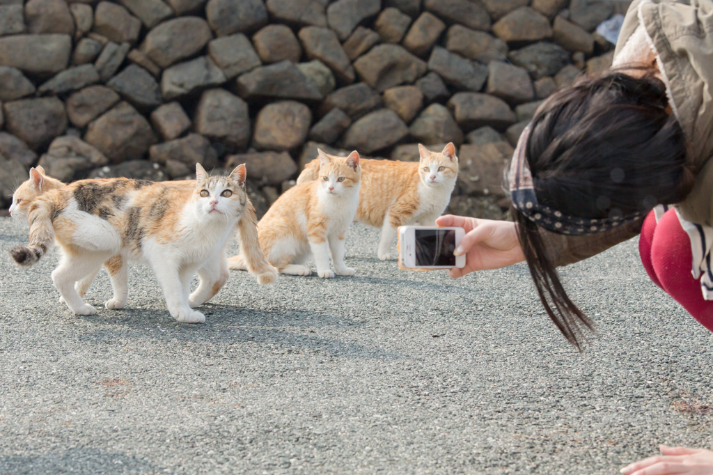 急募！！カメラ目線