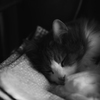 眠り