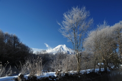 忍野の朝