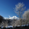 忍野の朝