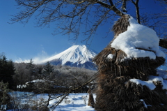 忍野の朝２