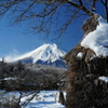 忍野の朝２