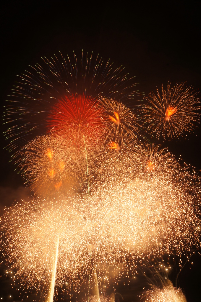 秋の夜空に咲く花