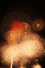 秋の夜空に咲く花