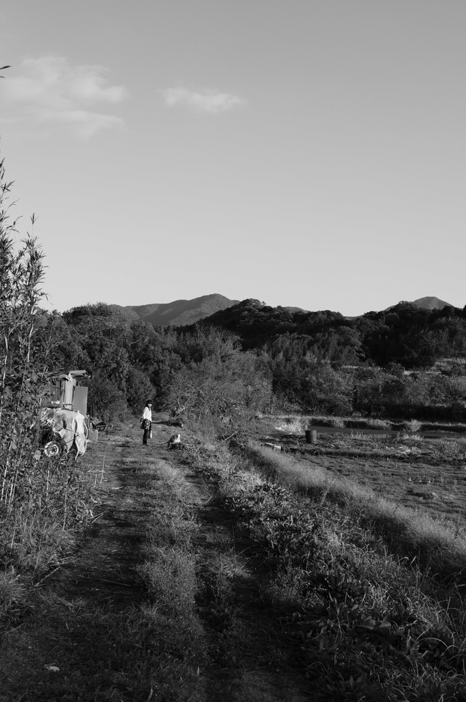 田舎の風景