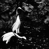 時の流れ