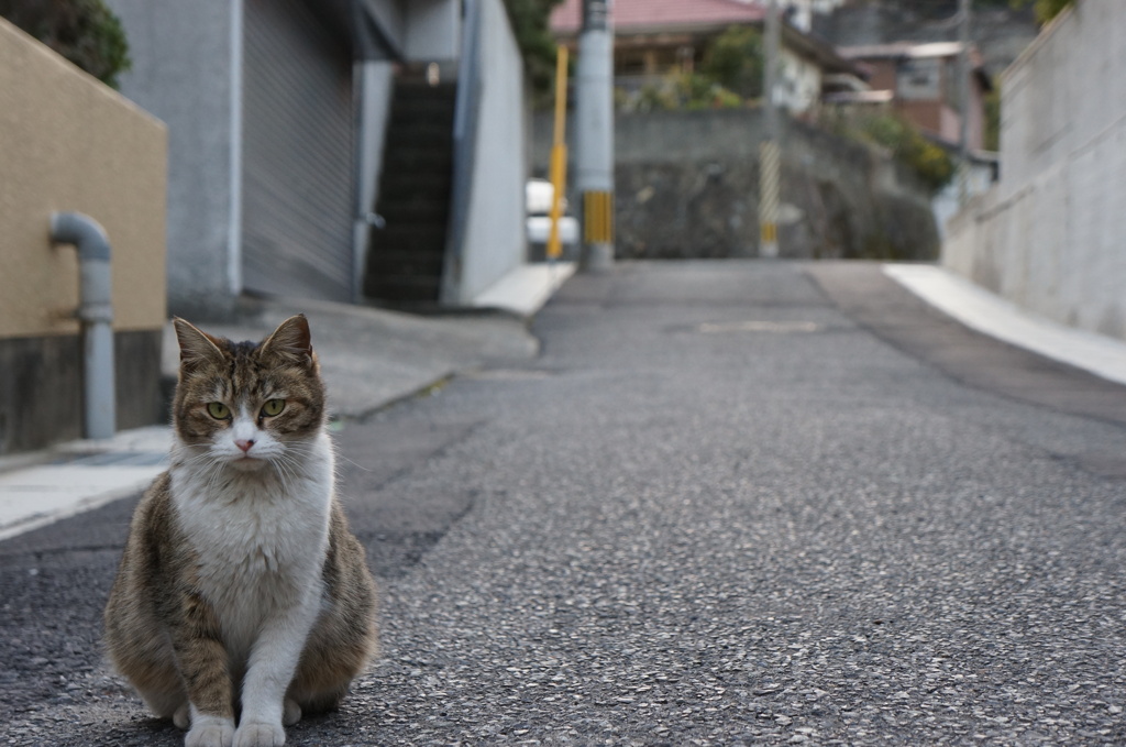 凛として