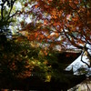 功山寺・紅葉