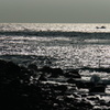 灰の海