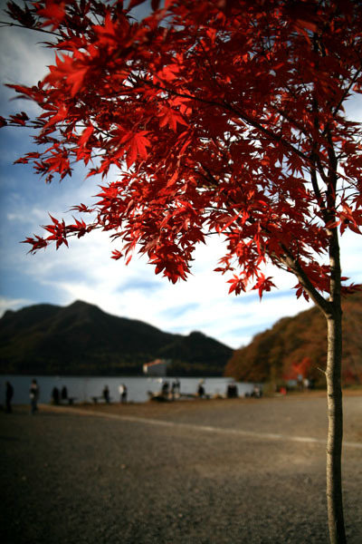 秋晴れ紅葉の榛名湖